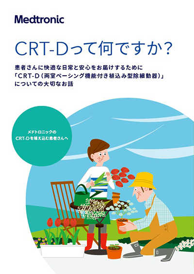 CRT-Dって、何ですか？